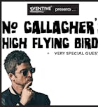 No Gallaghers High Flying Birds