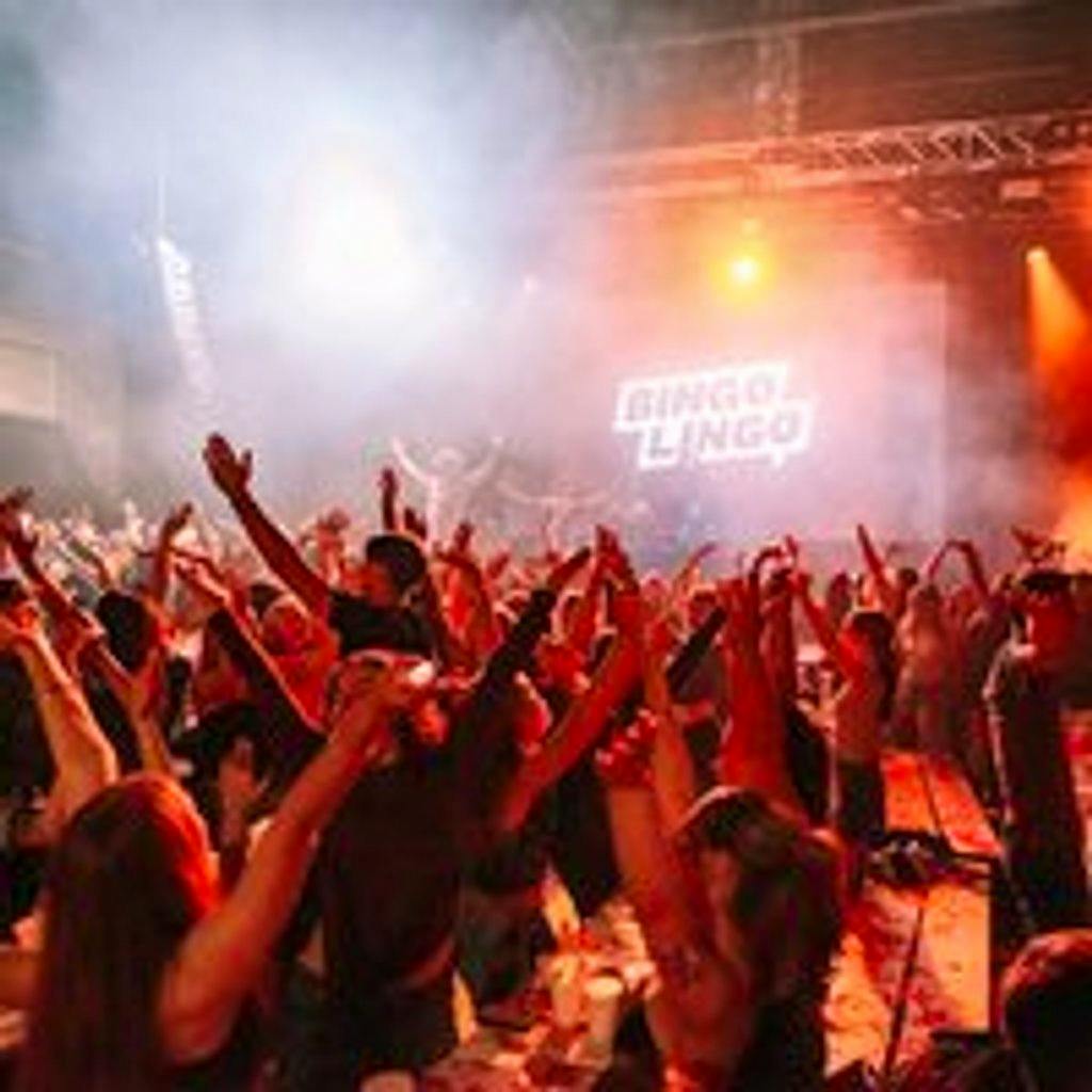 Bingo Lingo at The Yard