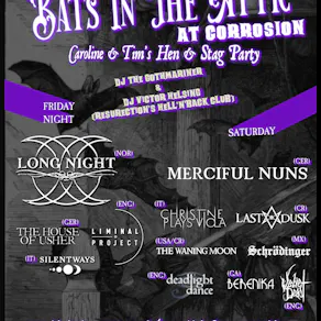 Bats in the Attic 2026 - Artist ticket