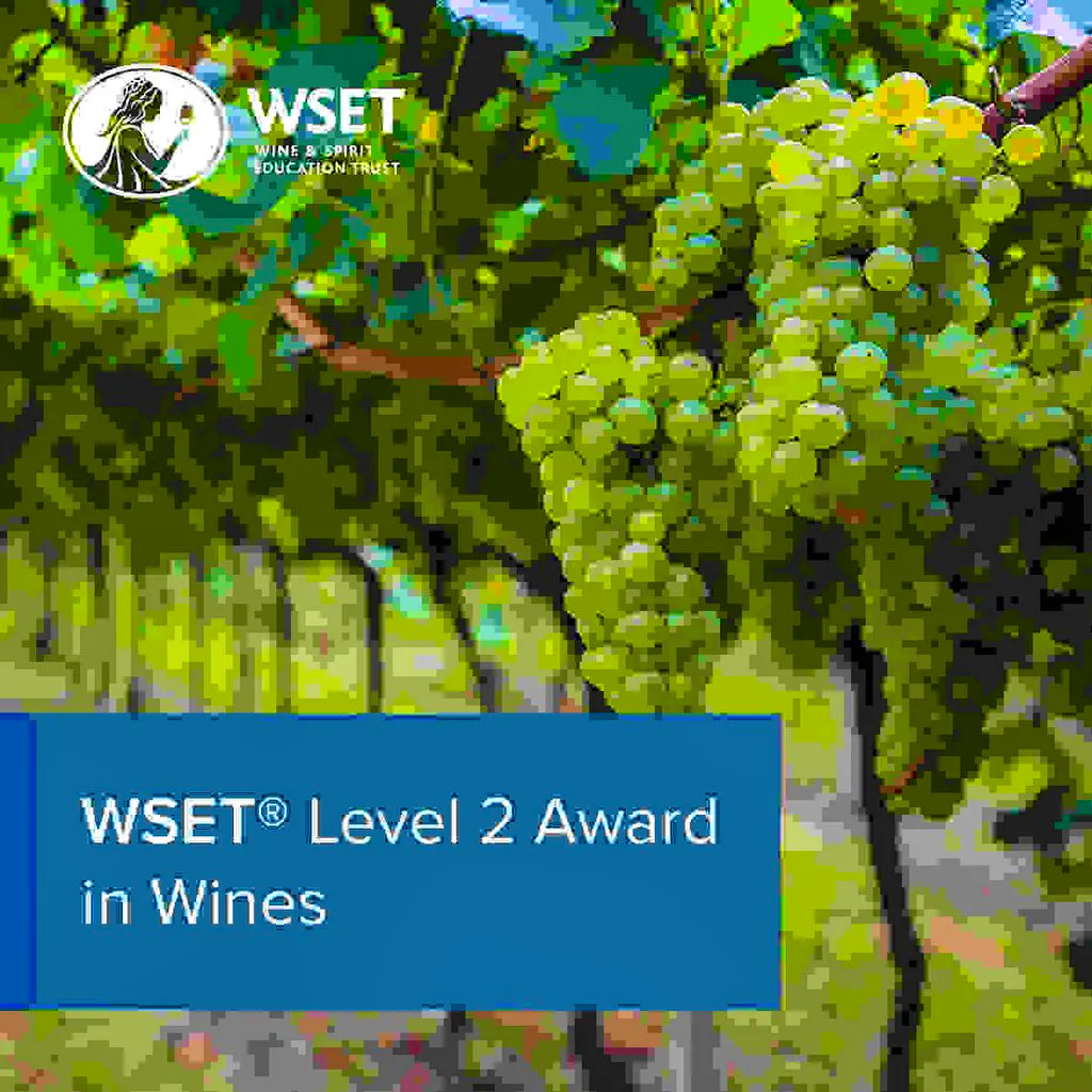 WSET L2 Award in Wines Stanlake Park Winery at Stanlake Park Wine Estate