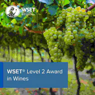 WSET L2 Award in Wines Stanlake Park Winery at Stanlake Park Wine Estate