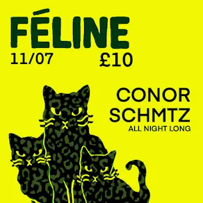 Féline W Conor Schmtz (5 hour set)