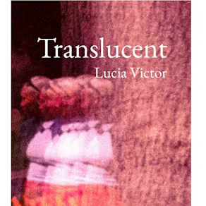 Lu's book launch
