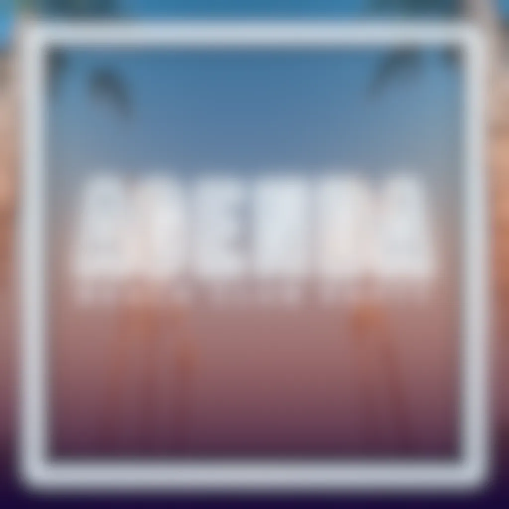 banner