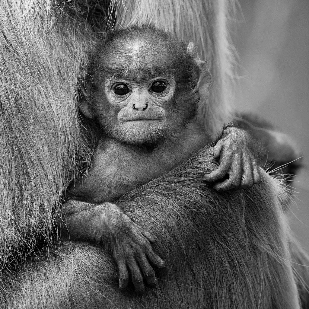 Wildlife of the World Photography Exhibition at Milgate House