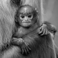 Wildlife of the World Photography Exhibition at Milgate House