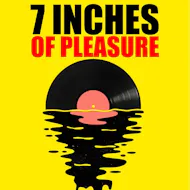 7 INCHES OF PLEASURE You pick them, we play them! at Vault 17