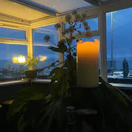 Rear Window at PictureHoose