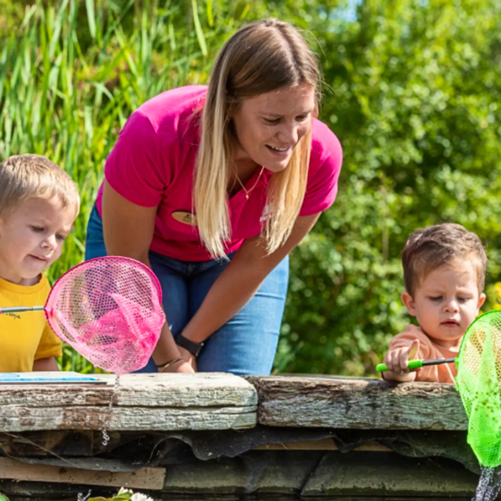 Quiet and Calm Pond Dipping at WWT London Wetland Centre