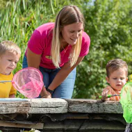 Quiet and Calm Pond Dipping at WWT London Wetland Centre