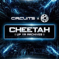 Cheetah at Hare And Hounds Kings Heath