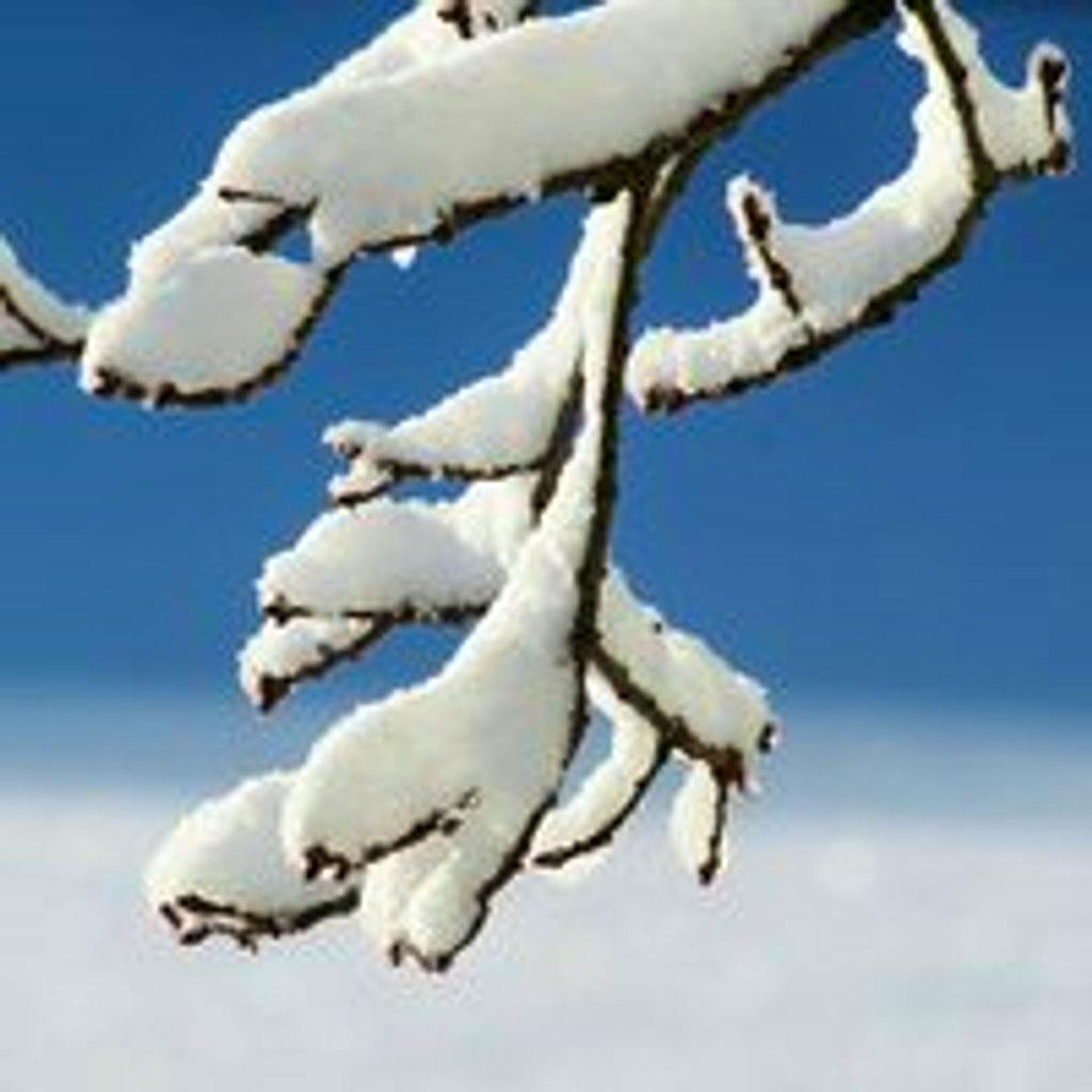 Conscious Connected Breathwork with Lyndsey & Anna at The Wild Box