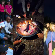Adult Bat Walks at WWT London Wetland Centre