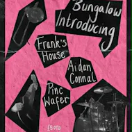 Frank's House, Pinc Wafer and Aidan Connell at The Bungalow Bar
