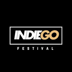 INDIE GO Festival Tickets | The Peacock Peterborough  | Sat 17th August 2024 Lineup