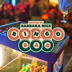 Bingo Bab - A Charity Bingo Night with Barbara Nice Tickets | Herbert's Yard Birmingham  | Wed 29th May 2024 Lineup