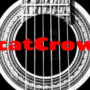 catCrow - IVW 2025