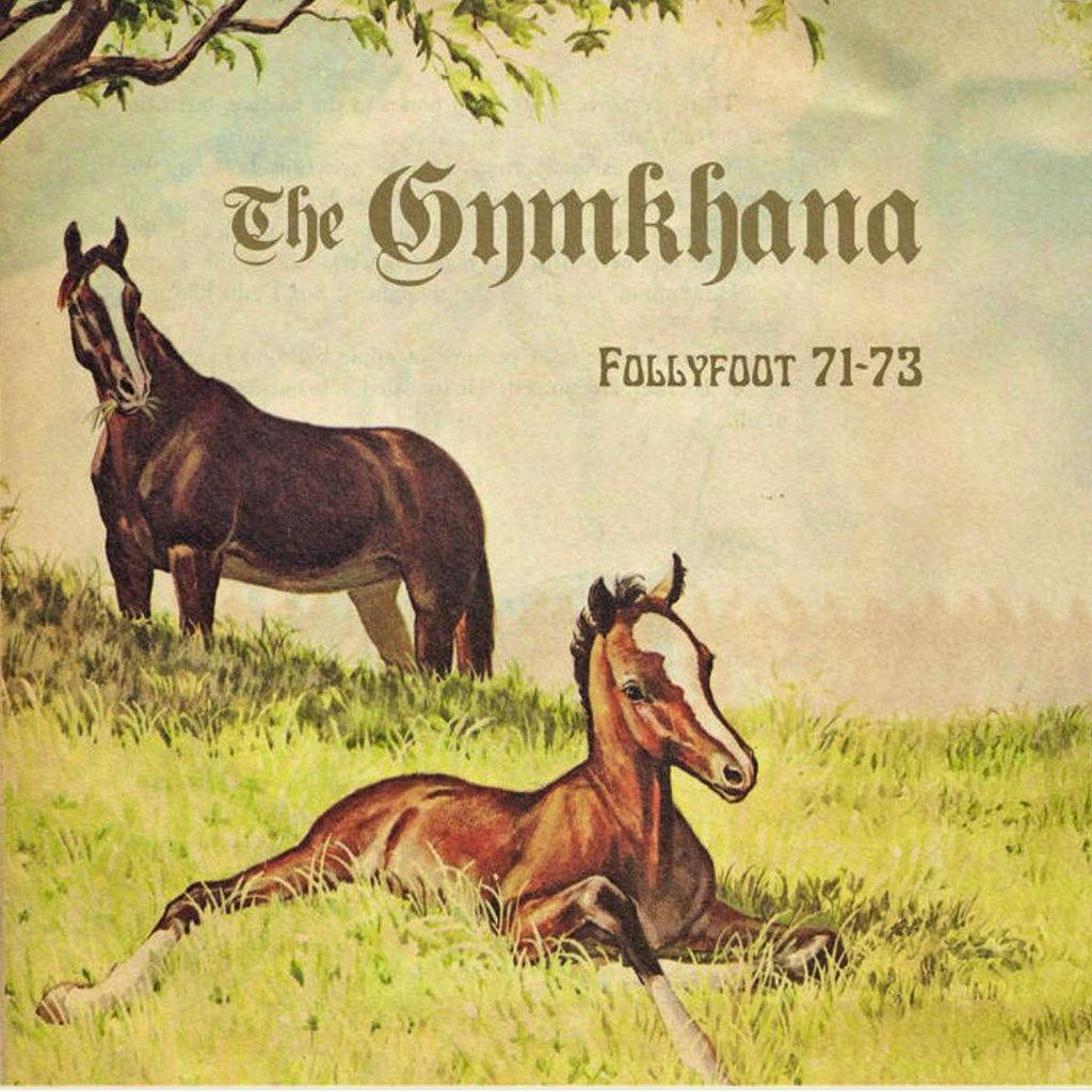 The Gymkhana / Crayola Lectern at The Star Inn