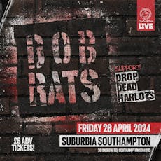 Bob Rats at Suburbia Southampton
