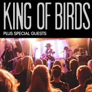 King of Birds plus special guests at The Bungalow Bar