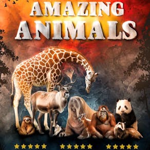 Amazing Animals