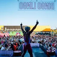 BINGO LINGO - Tiger Yard - Outdoor Summer Sessions at Tiger Yard