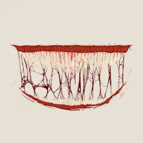 The Psychology of Horror Movies