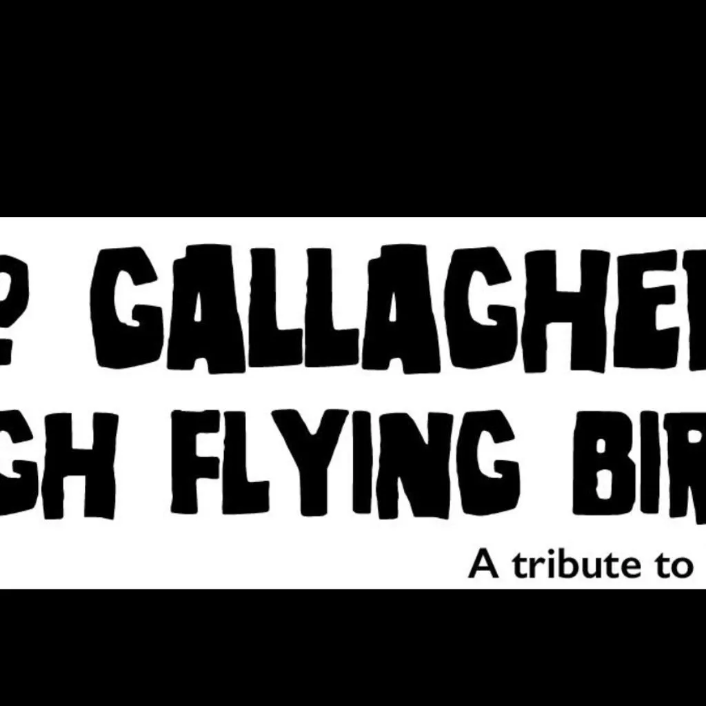 No Gallaghers' High Flying Birds at The Hive, Edinburgh