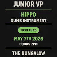Junior VP / Hippo / Dumb Instrument at The Bungalow Bar