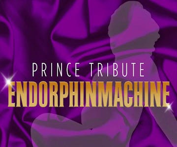 Endorphinmachine - Tribute To Prince