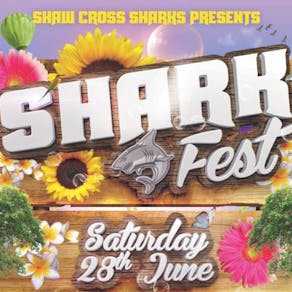 Shark Fest 25