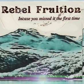 Rebel Fruition Vinyl Launch