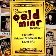 The Definitive Goldmine Reunion at The Paddocks