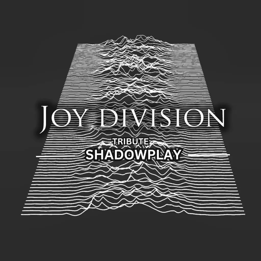 Joy Division tribute Shadowplay Live at Sally Cinnamon's Music Venue