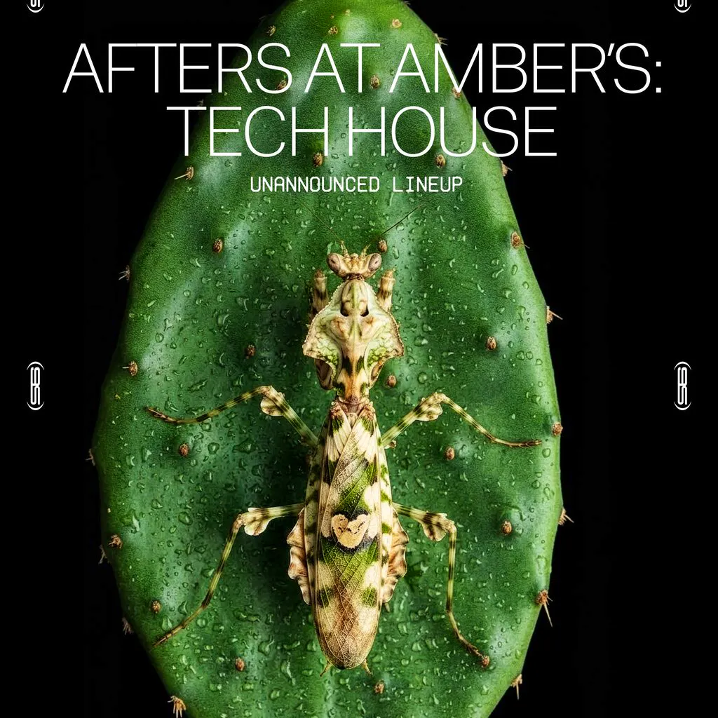 Afters at Amber's: Tech House (Unannounced Line Up) at Amber's