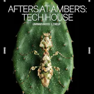 Afters at Amber's: Tech House (Unannounced Line Up) at Amber's