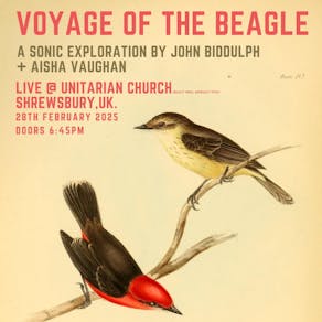 Voyage of the Beagle by John Biddulph + Ashia Vaughan