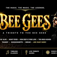 Bee Gees Tribute Night - Hinckley at St Marys Church Hickley