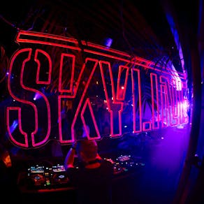 Skyline feat - Dave Seaman, Anthony Pappa, BOg & Fur Coat