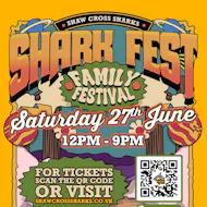 shark Fest 26 at Shark Park