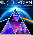 PINK FLOYDIAN - Performing DARK SIDE OF THE MOON & more