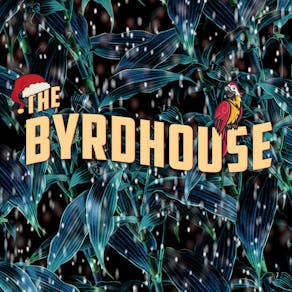 The Byrdhouse Xmas Special : Bath