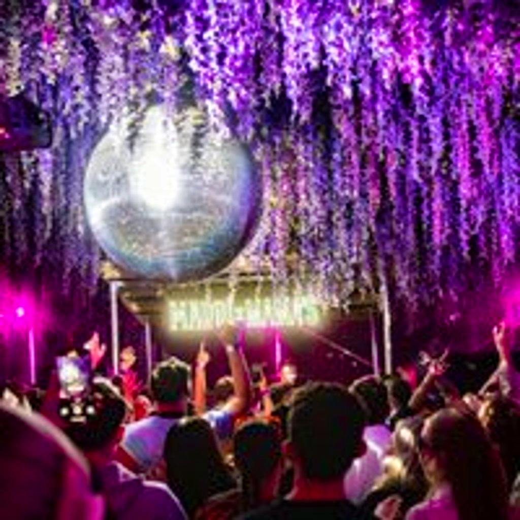 Mama's Friday w/ Faraz Taghavi All Night Long + Live Music at Mama Roux's