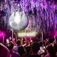 Mama's Friday w/ Faraz Taghavi All Night Long + Live Music at Mama Roux's