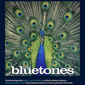 The Bluetones: 'Expecting To Fly' 30th Anniversary Tour