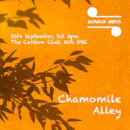 Between Notes - Chamomile Alley at The Carlton Club Manchester