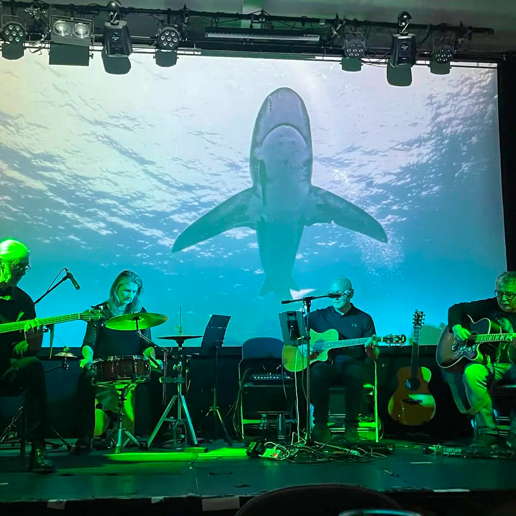 Acoustic Floyd at The Continental