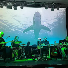 Acoustic Floyd