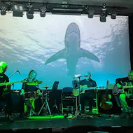 Acoustic Floyd at The Continental