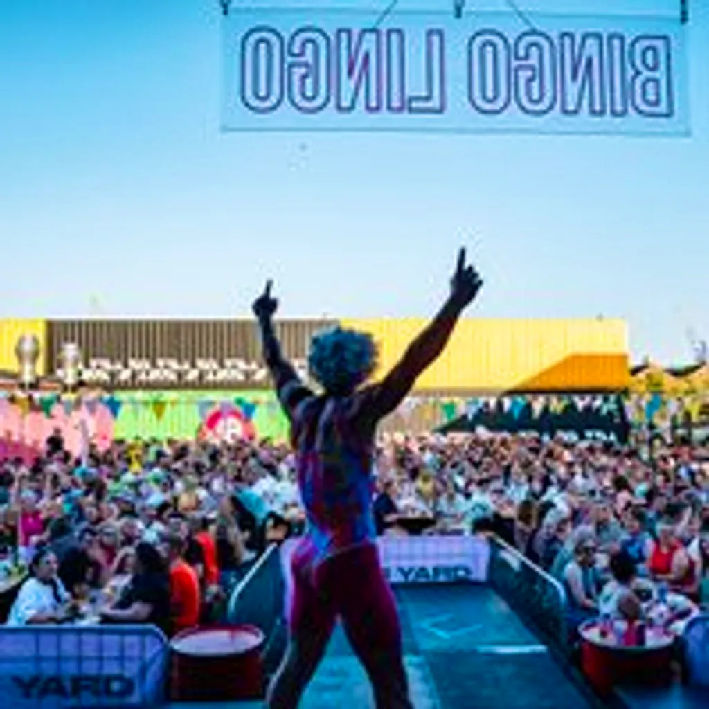 BINGO LINGO - Tiger Yard - Outdoor Summer Sessions at Tiger Yard